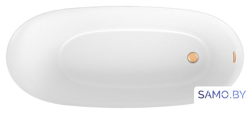 Ванна Wellsee Panta Rei 168x73 23720104R (отдельностоящая ванна белый глянец, экран, ножки, сифон-автомат золото) - Изображение №3 — Интернет-магазин samo.by