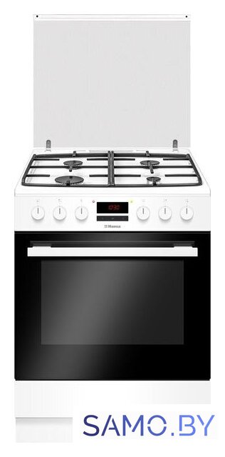 Кухонная плита Hansa FCMW68229 - Изображение №1 — Интернет-магазин samo.by
