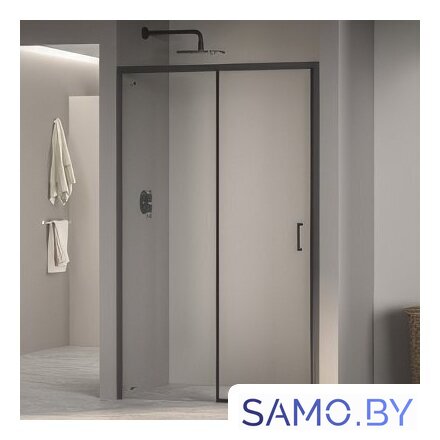 Душевая дверь RGW PA-017-B 350801718-14 - Изображение №2 — Интернет-магазин samo.by