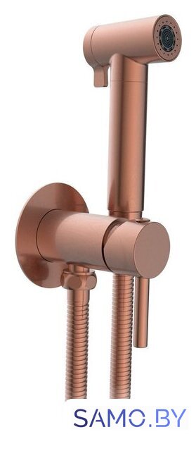 Гигиенический душ Altrobagno Modern 060123 RaSp - Изображение №1 — Интернет-магазин samo.by