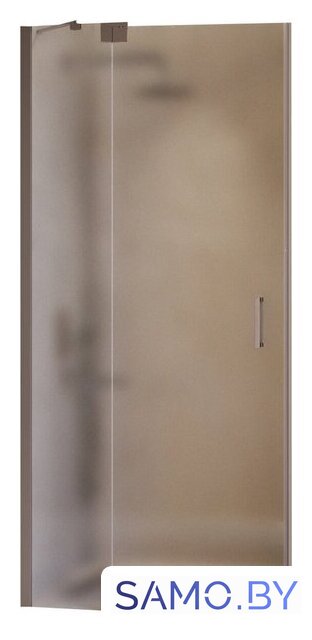 Душевая дверь RGW HO-014Gr 350601414-210 - Изображение №1 — Интернет-магазин samo.by