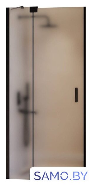 Душевая дверь RGW HO-014B 350601410-24 - Изображение №1 — Интернет-магазин samo.by