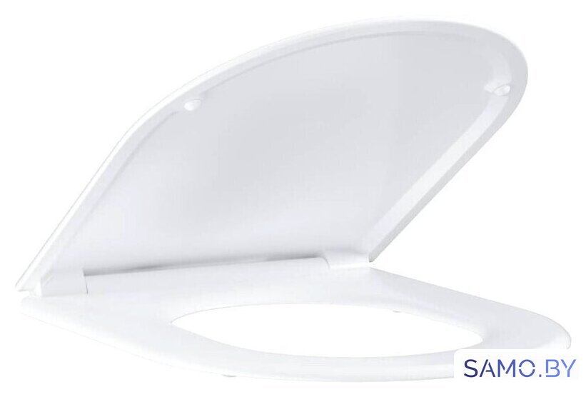 Сиденье для унитаза Grohe Essence Ceramic 39577000 (с микролифтом) - Изображение №1 — Интернет-магазин samo.by
