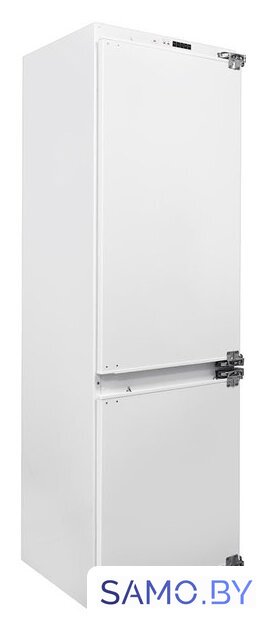 Холодильник Exiteq EXR-202 - Изображение №1 — Интернет-магазин samo.by