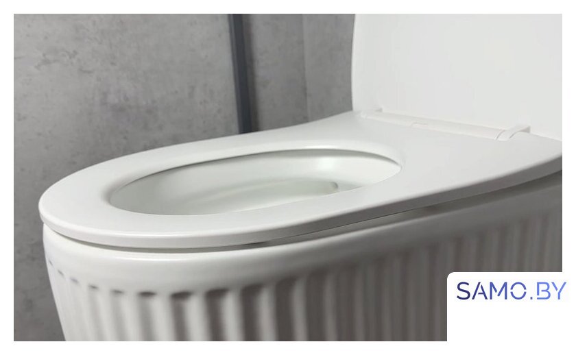 Унитаз подвесной Roxen Royal Matt в комплекте с инсталляцией StounFix Dual Fresh 6 в 1 968283 (кнопка: оружейная сталь) - Изображение №11 — Интернет-магазин samo.by