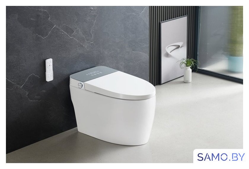 Унитаз приставной Roxen Smart Turbo 670300-02 - Изображение №1 — Интернет-магазин samo.by