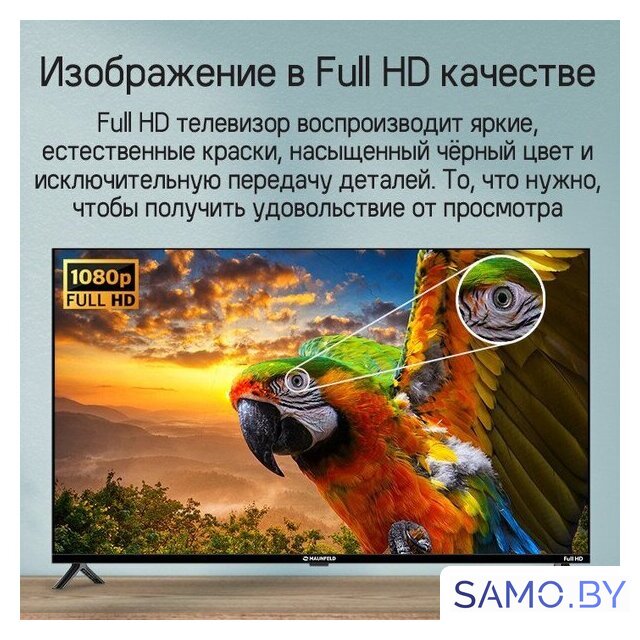 Телевизор MAUNFELD MLT43FST02 - Изображение №14 — Интернет-магазин samo.by