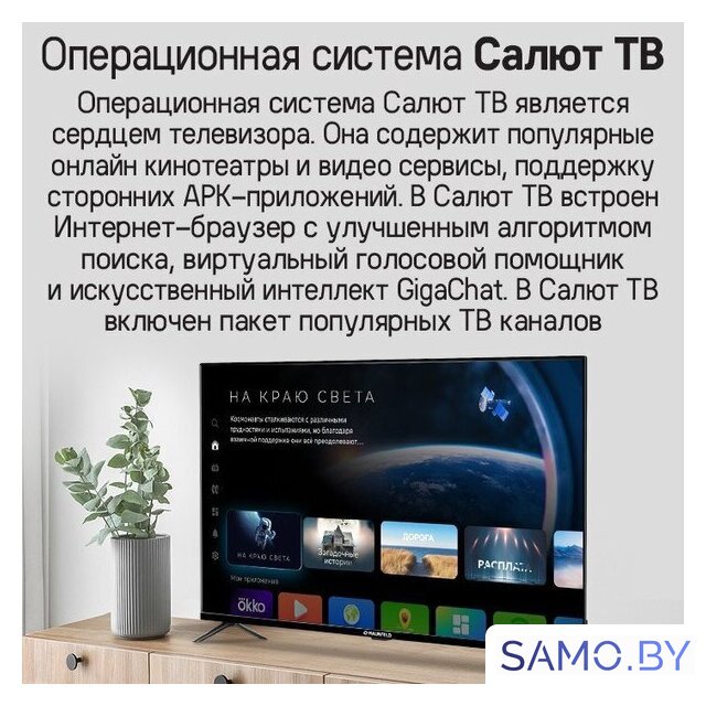 Телевизор MAUNFELD MLT43FST02 - Изображение №12 — Интернет-магазин samo.by