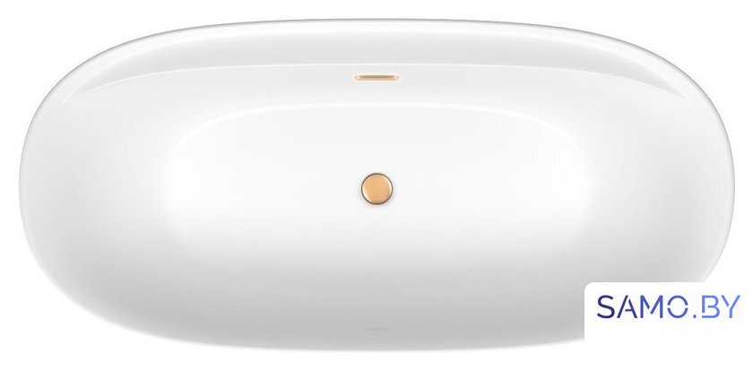 Ванна Wellsee Pro Line 170x80 28750104R (отдельностоящая ванна белый глянец, экран, ножки, сифон-автомат золото) - Изображение №4 — Интернет-магазин samo.by