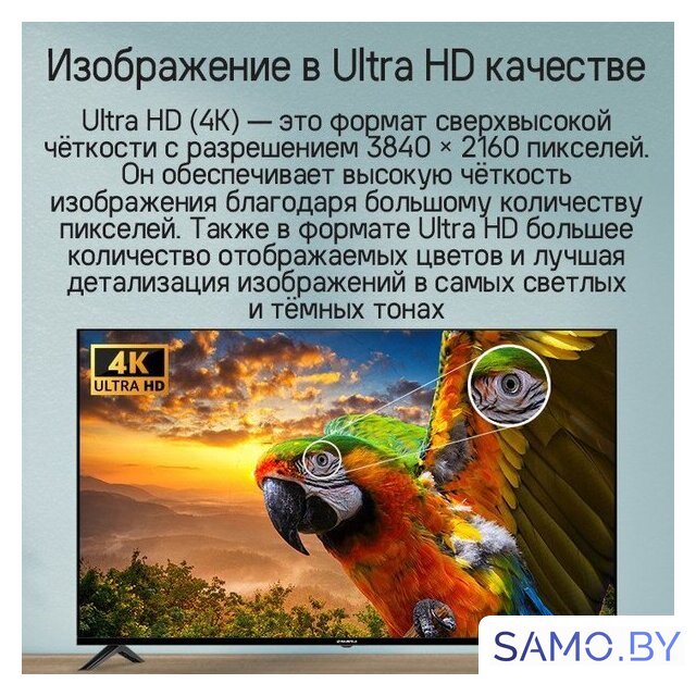 Телевизор MAUNFELD MLT55UST02 - Изображение №15 — Интернет-магазин samo.by