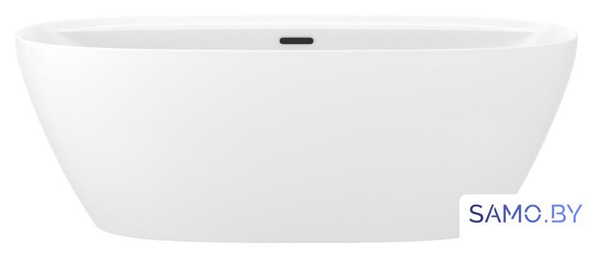 Ванна Wellsee Pro Line 170x80 28750103R (отдельностоящая ванна белый глянец, экран, ножки, сифон-автомат матовый черный) - Изображение №1 — Интернет-магазин samo.by