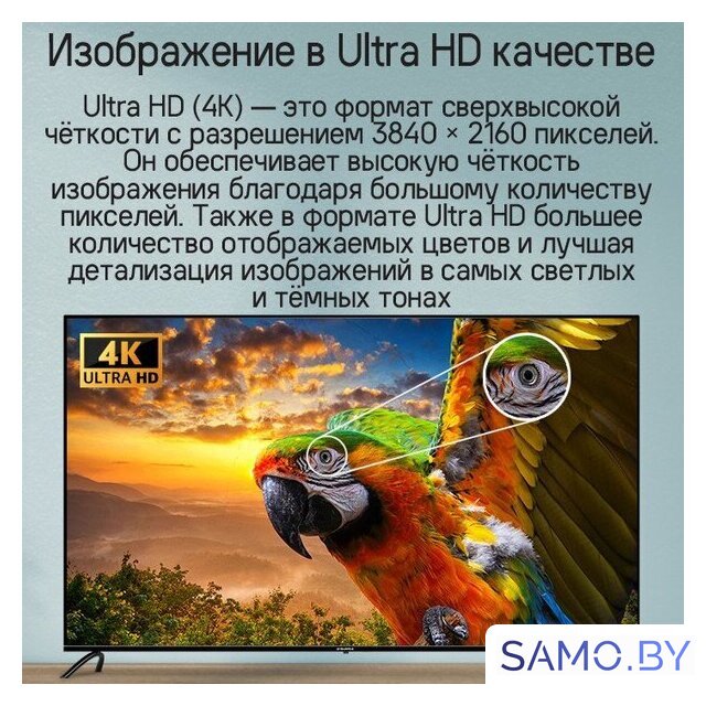 Телевизор MAUNFELD MQT65UST03 - Изображение №15 — Интернет-магазин samo.by