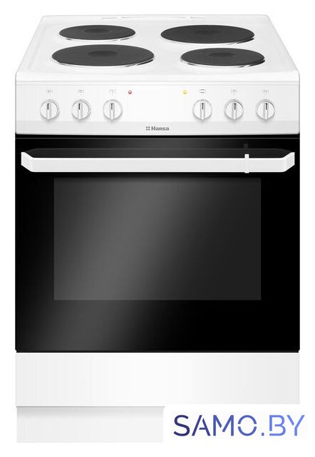 Кухонная плита Hansa FCEW66069 - Изображение №1 — Интернет-магазин samo.by