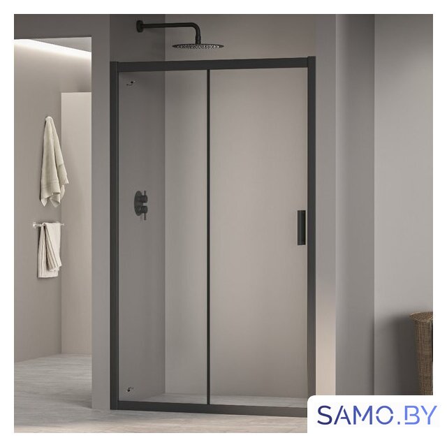 Душевая дверь RGW PA-016B 350801616-14 160 (черный/прозрачное стекло) - Изображение №1 — Интернет-магазин samo.by