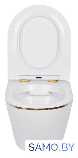Унитаз подвесной Roxen Antares Gold в комплекте с инсталляцией StounFix Dual Fresh 6 в 1 868553 (кнопка: белый глянцевая) - Изображение №11 — Интернет-магазин samo.by