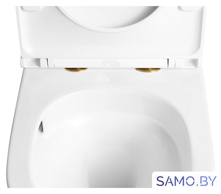 Унитаз подвесной Roxen Antares Tornado Long 530205-01GB-L - Изображение №2 — Интернет-магазин samo.by