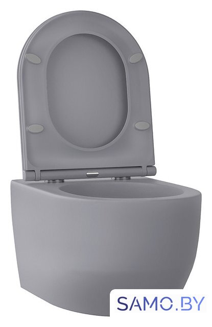 Унитаз подвесной Wellsee Croquis RimFree 182614001 (чаша, пневмокрышка, матовый серый) - Изображение №2 — Интернет-магазин samo.by
