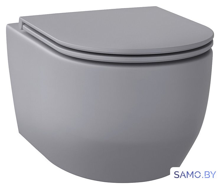 Унитаз подвесной Wellsee Croquis RimFree 182614001 (чаша, пневмокрышка, матовый серый) - Изображение №1 — Интернет-магазин samo.by