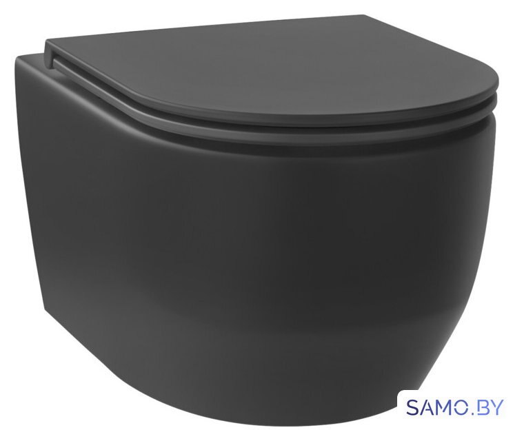 Унитаз подвесной Wellsee Croquis RimFree 182613001 (чаша, пневмокрышка, матовый черный) - Изображение №1 — Интернет-магазин samo.by
