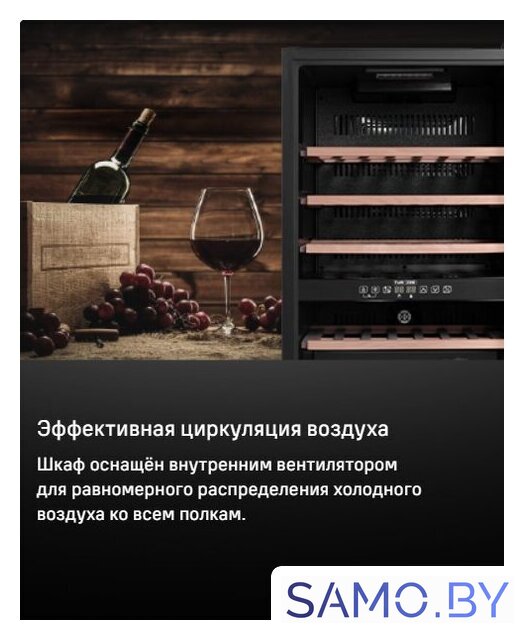 Винный шкаф MAUNFELD MFWC-124D49 - Изображение №11 — Интернет-магазин samo.by