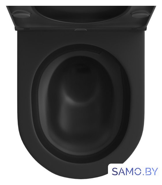Унитаз подвесной Wellsee Chalice Perfection RimFree 182609001 (чаша, пневмокрышка, матовый черный) - Изображение №3 — Интернет-магазин samo.by