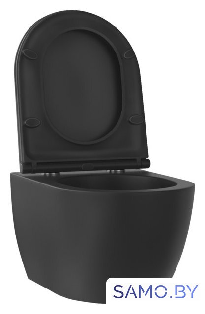 Унитаз подвесной Wellsee Chalice Perfection RimFree 182609001 (чаша, пневмокрышка, матовый черный) - Изображение №2 — Интернет-магазин samo.by