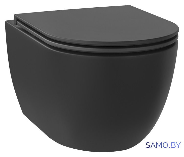 Унитаз подвесной Wellsee Chalice Perfection RimFree 182609001 (чаша, пневмокрышка, матовый черный) - Изображение №1 — Интернет-магазин samo.by