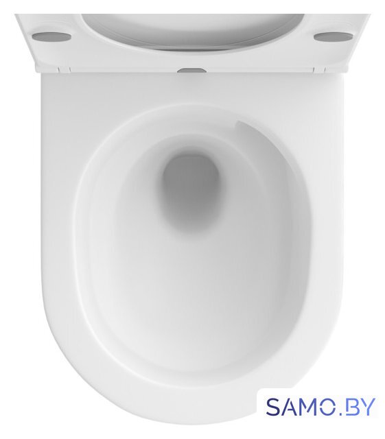 Унитаз подвесной Wellsee Chalice Perfection RimFree 182608001 (чаша, пневмокрышка, матовый белый) - Изображение №3 — Интернет-магазин samo.by
