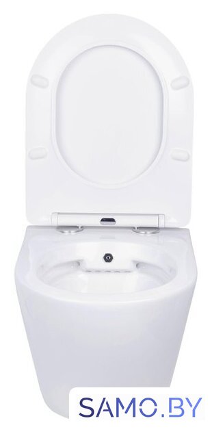 Унитаз подвесной Roxen Antares Bidet в комплекте с инсталляцией StounFix Dual Fresh 6 в 1 968457 (кнопка: брашированное золото) - Изображение №4 — Интернет-магазин samo.by