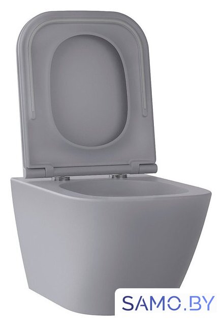Унитаз подвесной Wellsee Pure BY Wellsee RimFree 182605001 (чаша, пневмокрышка, матовый серый) - Изображение №2 — Интернет-магазин samo.by