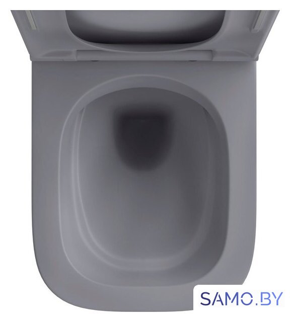 Унитаз подвесной Wellsee Pure BY Wellsee RimFree 182605001 (чаша, пневмокрышка, матовый серый) - Изображение №3 — Интернет-магазин samo.by