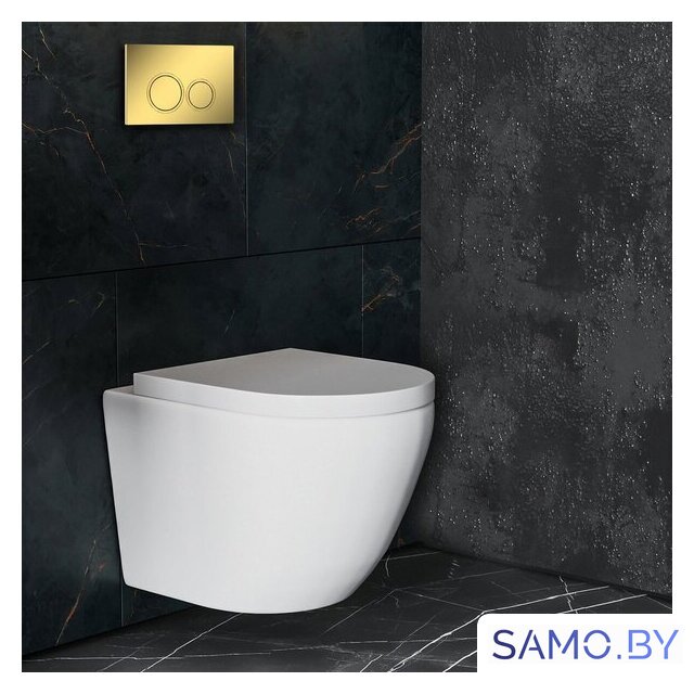 Панель смыва Roxen Santi 410260G - Изображение №4 — Интернет-магазин samo.by