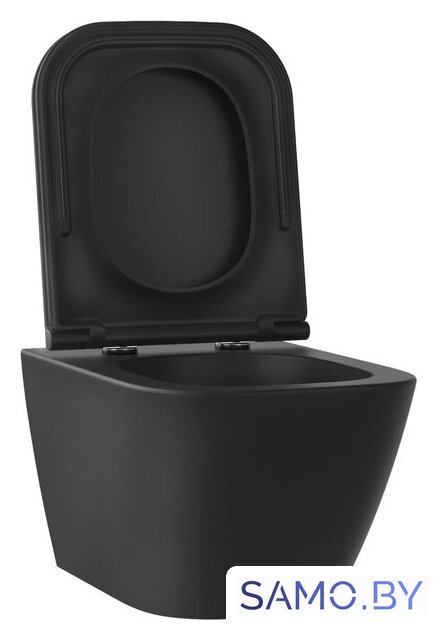 Унитаз подвесной Wellsee Pure BY Wellsee RimFree 182604001 (чаша, пневмокрышка, матовый черный) - Изображение №2 — Интернет-магазин samo.by