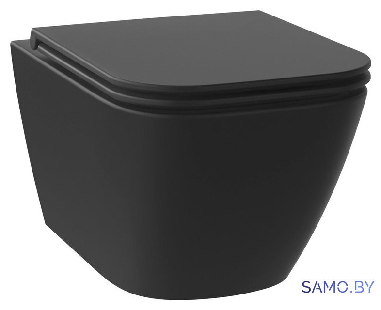 Унитаз подвесной Wellsee Pure BY Wellsee RimFree 182604001 (чаша, пневмокрышка, матовый черный) - Изображение №1 — Интернет-магазин samo.by
