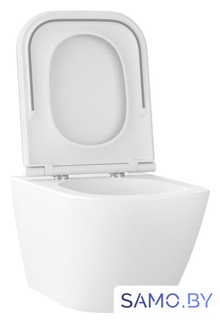 Унитаз подвесной Wellsee Pure BY Wellsee RimFree 182603001 (чаша, пневмокрышка, матовый белый) - Изображение №2 — Интернет-магазин samo.by