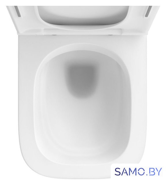 Унитаз подвесной Wellsee Pure BY Wellsee RimFree 182603001 (чаша, пневмокрышка, матовый белый) - Изображение №3 — Интернет-магазин samo.by