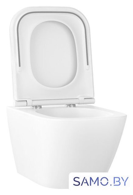 Унитаз подвесной Wellsee Pure BY Wellsee RimFree 182602001 (чаша, пневмокрышка, глянцевый белый) - Изображение №2 — Интернет-магазин samo.by
