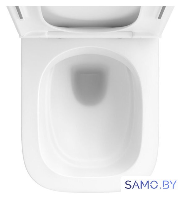 Унитаз подвесной Wellsee Pure BY Wellsee RimFree 182602001 (чаша, пневмокрышка, глянцевый белый) - Изображение №3 — Интернет-магазин samo.by