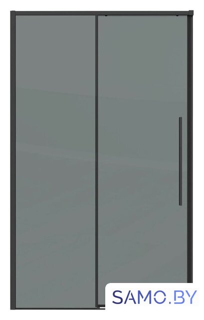 Душевая дверь Grossman Galaxy 100x195 100.K33.01.100.21.10 (черный матовый/стекло тонированное) - Изображение №1 — Интернет-магазин samo.by