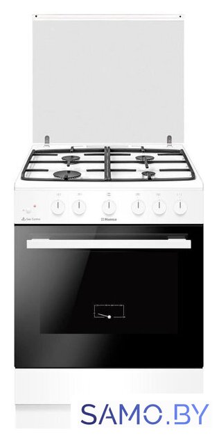 Кухонная плита Hansa FCGW63193 - Изображение №1 — Интернет-магазин samo.by