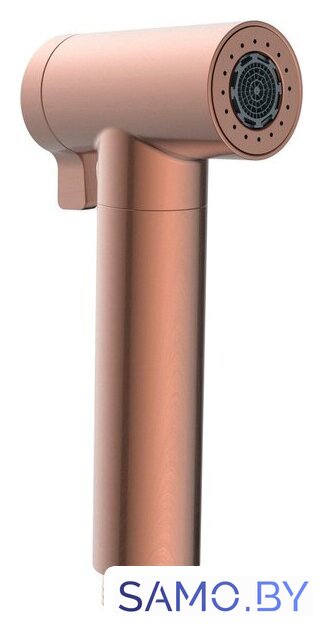 Душевая лейка Altrobagno Modern 060207 RaSp - Изображение №1 — Интернет-магазин samo.by