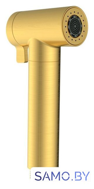 Душевая лейка Altrobagno Modern 060206 OrSp - Изображение №1 — Интернет-магазин samo.by