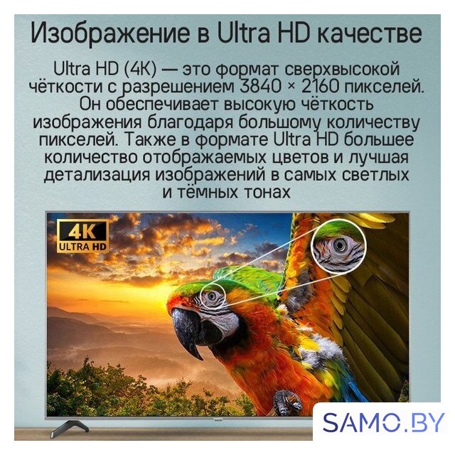 Телевизор MAUNFELD MQT65USX03 - Изображение №14 — Интернет-магазин samo.by