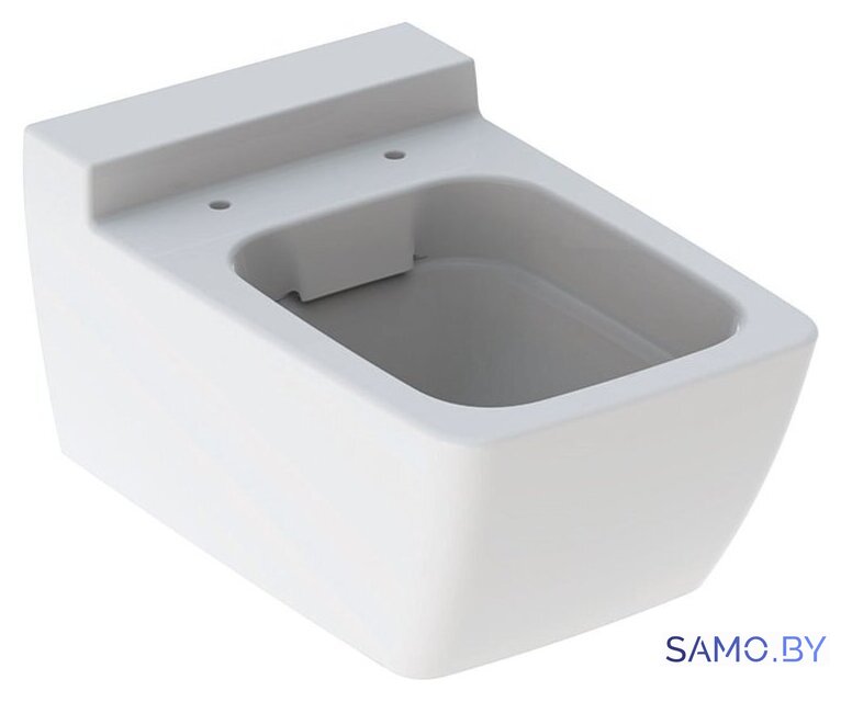 Унитаз подвесной Geberit Xeno2 Rimfree 500.500.01.1 (без сиденья) - Изображение №1 — Интернет-магазин samo.by