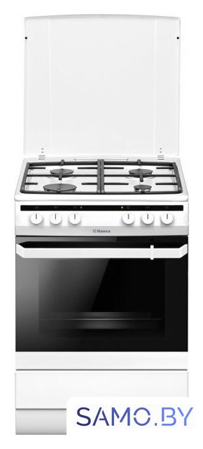 Кухонная плита Hansa FCMW680451 - Изображение №1 — Интернет-магазин samo.by