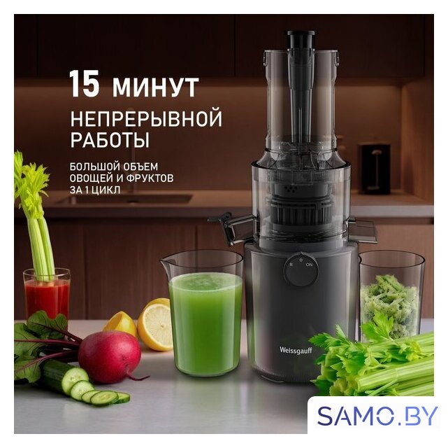 Соковыжималка Weissgauff WSJ 200 MB Compact Juice - Изображение №14 — Интернет-магазин samo.by