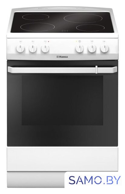 Кухонная плита Hansa FCCW680009 - Изображение №1 — Интернет-магазин samo.by