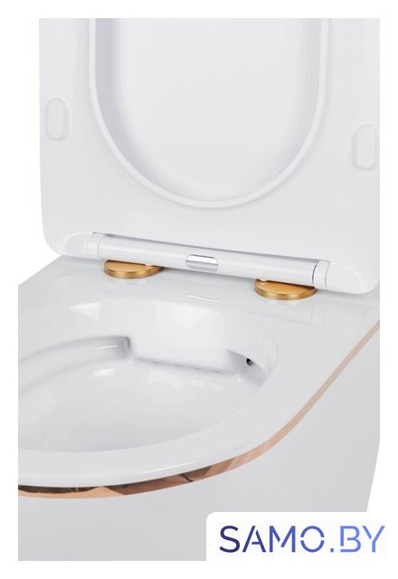 Унитаз подвесной Roxen Antares Gold в комплекте с инсталляцией StounFix Dual Fresh 6 в 1 807054 (кнопка: белый глянец) - Изображение №8 — Интернет-магазин samo.by
