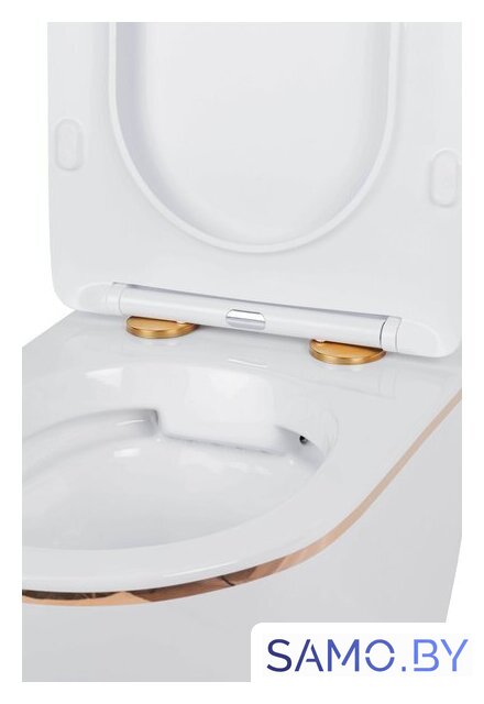 Унитаз подвесной Roxen Antares Gold 530110-01G Rimless Soft Close - Изображение №11 — Интернет-магазин samo.by