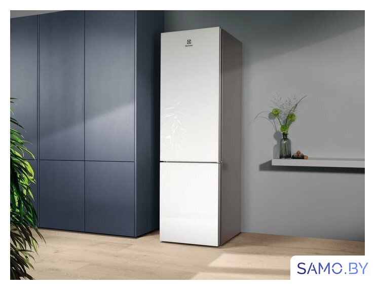 Холодильник Electrolux MultiSpace 800 LNT7ME36G2 - Изображение №13 — Интернет-магазин samo.by